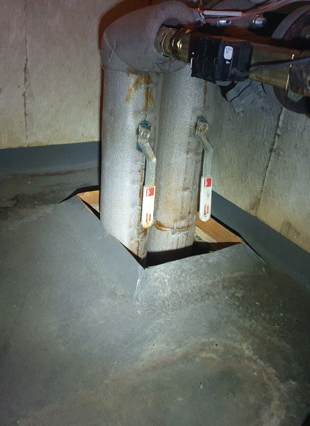 Jyrsijät pyrkivät sisään hyvinkin pienistä raoista.